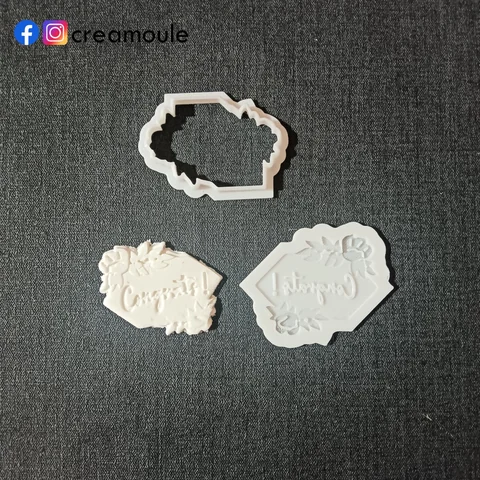 Pack 8 moules études